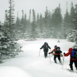 Back-Country & Cross-Country Skiing