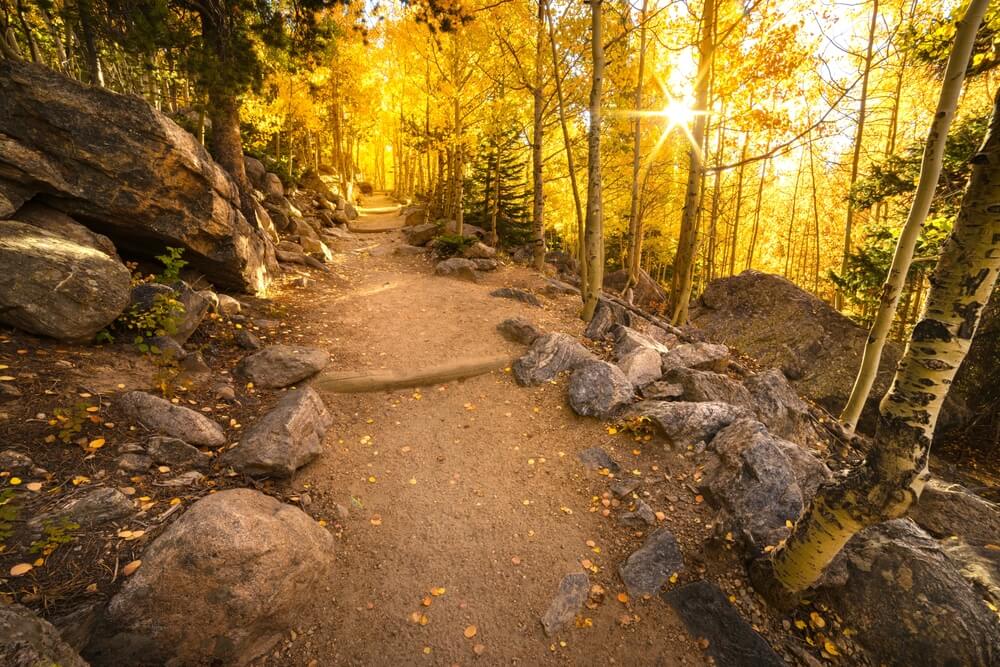 Colorado fall foliage near Estes Park.